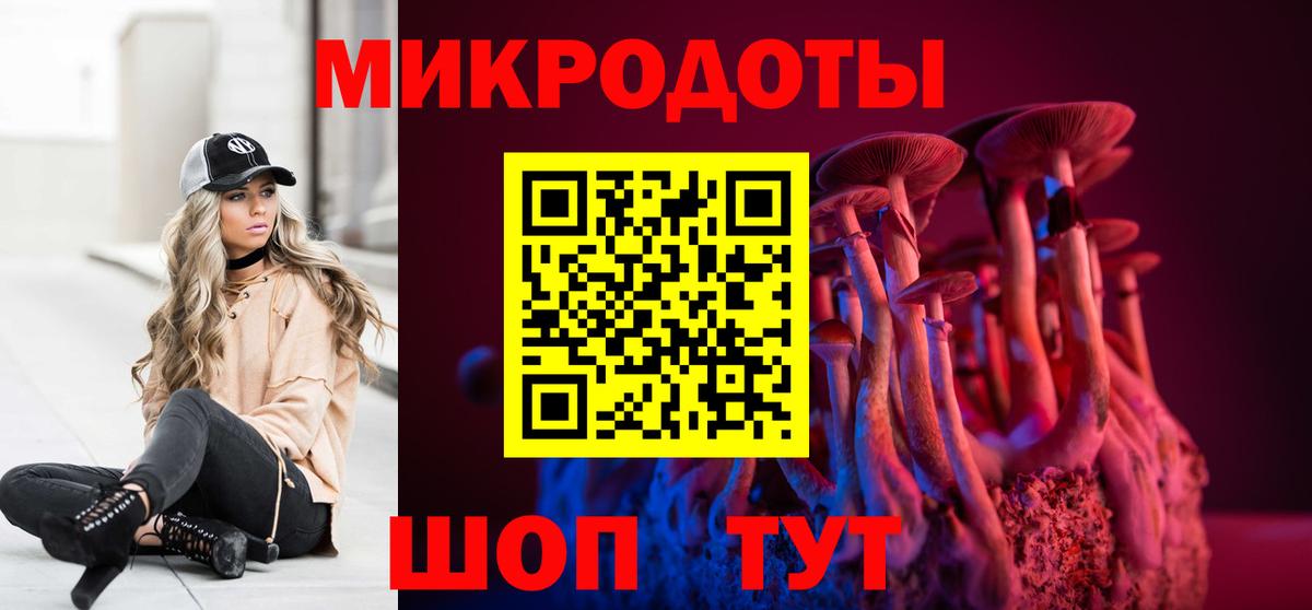 Ефремов  Галлюциногенные грибы MAGIC MUSHROOMS  магазин продажи наркотиков  Вход с VPN 